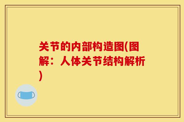 关节的内部构造图(图解：人体关节结构解析)