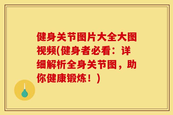 健身关节图片大全大图视频(健身者必看：详细解析全身关节图，助你健康锻炼！)