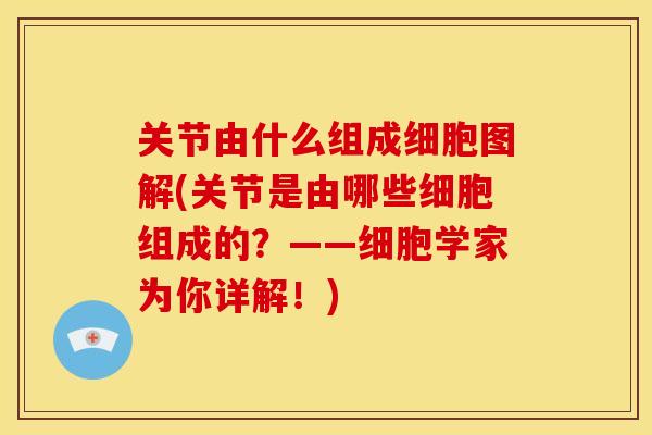 关节由什么组成细胞图解(关节是由哪些细胞组成的？——细胞学家为你详解！)