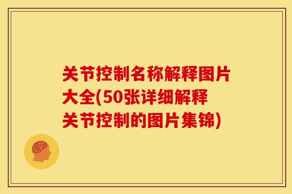 关节控制名称解释图片大全(50张详细解释关节控制的图片集锦)
