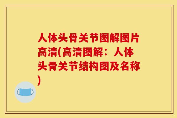 人体头骨关节图解图片高清(高清图解：人体头骨关节结构图及名称)