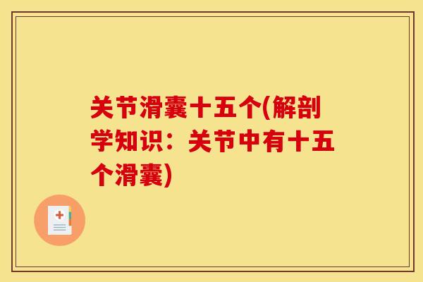 关节滑囊十五个(解剖学知识：关节中有十五个滑囊)