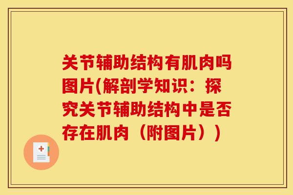 关节辅助结构有肌肉吗图片(解剖学知识:探究关节辅助结构中是否存在肌肉(附图片)) 关节辅助结构有肌肉吗图片(解剖学知识:探究关节辅助结构中是否存在肌肉(附图片))