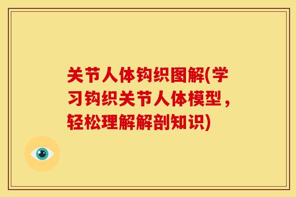 关节人体钩织图解(学习钩织关节人体模型，轻松理解解剖知识)