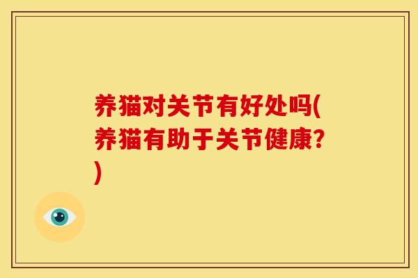 养猫对关节有好处吗(养猫有助于关节健康？)