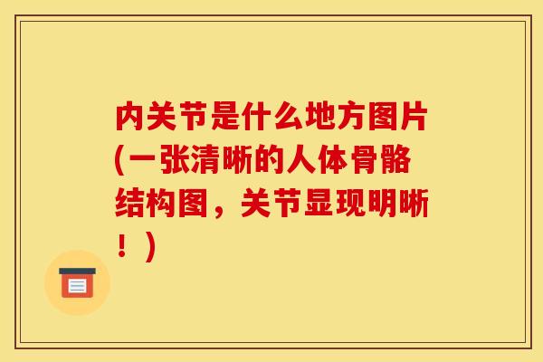 内关节是什么地方图片(一张清晰的人体骨骼结构图，关节显现明晰！)