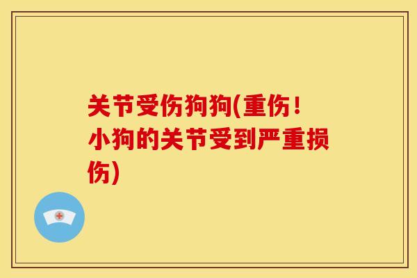 关节受伤狗狗(重伤！小狗的关节受到严重损伤)