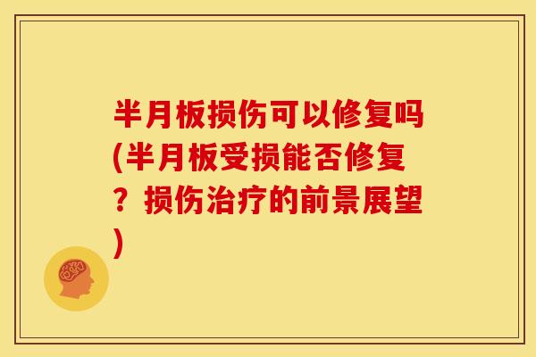 损伤可以修复吗(受损能否修复?损伤的前景展望) 损伤可以修复吗(受损能否修复?损伤的前景展望)