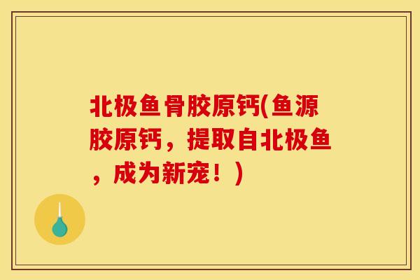北极鱼骨胶原钙(鱼源胶原钙，提取自北极鱼，成为新宠！)