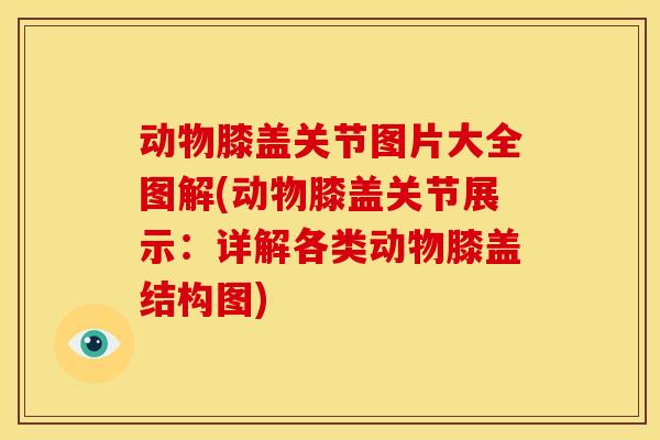 动物膝盖关节图片大全图解(动物膝盖关节展示：详解各类动物膝盖结构图)