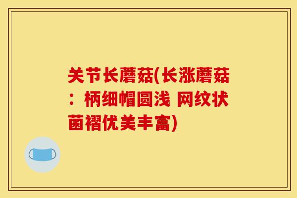 关节长蘑菇(长涨蘑菇：柄细帽圆浅 网纹状菌褶优美丰富)