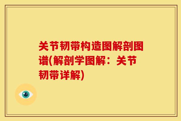 关节韧带构造图解剖图谱(解剖学图解：关节韧带详解)