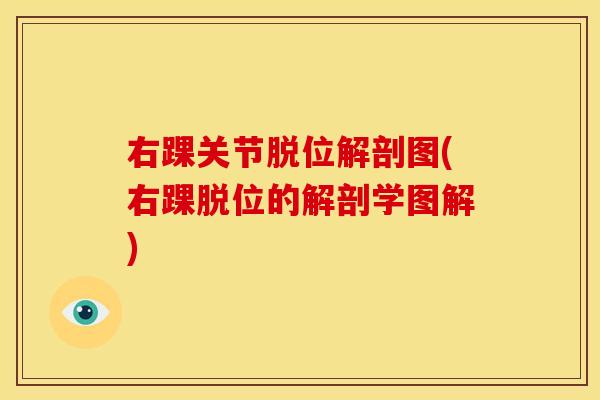 右踝关节脱位解剖图(右踝脱位的解剖学图解) 右踝关节脱位解剖图(右踝脱位的解剖学图解)