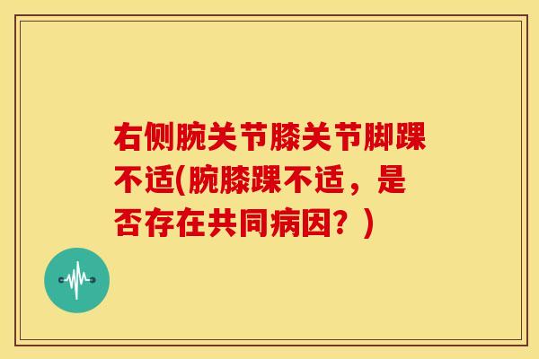 右侧腕关节膝关节脚踝不适(腕膝踝不适，是否存在共同因？)