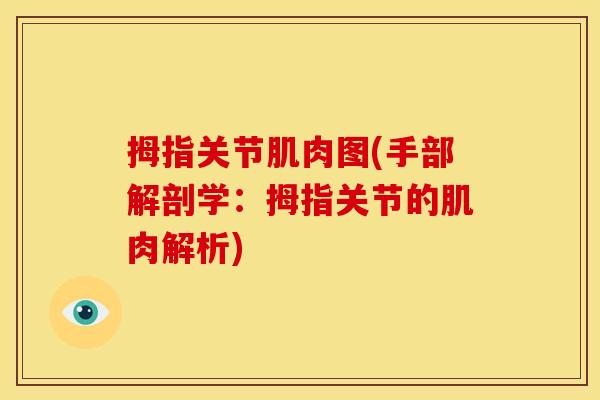 拇指关节肌肉图(手部解剖学：拇指关节的肌肉解析)