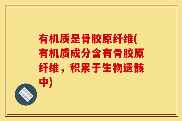 有机质是骨胶原纤维(有机质成分含有骨胶原纤维，积累于生物遗骸中)