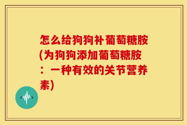 怎么给狗狗补葡萄糖胺(为狗狗添加葡萄糖胺：一种有效的关节营养素)