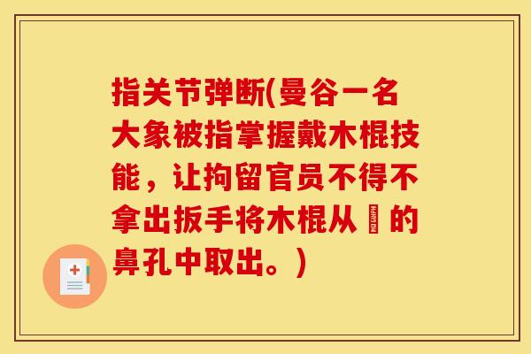 指关节弹断(曼谷一名大象被指掌握戴木棍技能,让拘留官员不得不拿出扳手将木棍从牠的鼻孔中取出。) 指关节弹断(曼谷一名大象被指掌握戴木棍技能,让拘留官员不得不拿出扳手将木棍从牠的鼻孔中取出。)