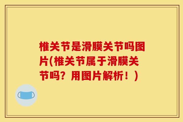 椎关节是滑膜关节吗图片(椎关节属于滑膜关节吗？用图片解析！)