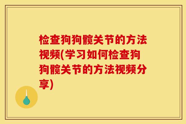 检查狗狗髋关节的方法视频(学习如何检查狗狗髋关节的方法视频分享)