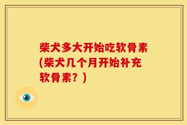 柴犬多大开始吃软骨素(柴犬几个月开始补充软骨素?) 柴犬多大开始吃软骨素(柴犬几个月开始补充软骨素?)