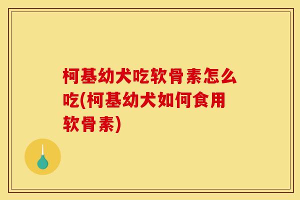 柯基幼犬吃软骨素怎么吃(柯基幼犬如何食用软骨素)
