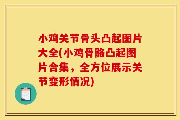 小鸡关节骨头凸起图片大全(小鸡骨骼凸起图片合集，全方位展示关节变形情况)