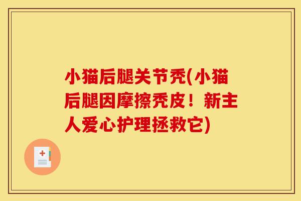 小猫后腿关节秃(小猫后腿因摩擦秃皮！新主人爱心护理拯救它)