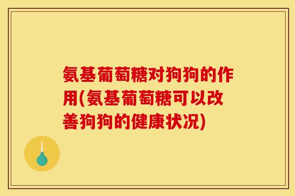 氨基葡萄糖对狗狗的作用(氨基葡萄糖可以改善狗狗的健康状况)