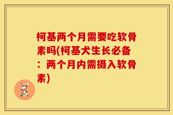 柯基两个月需要吃软骨素吗(柯基犬生长必备：两个月内需摄入软骨素)