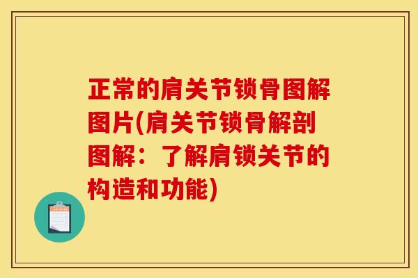 正常的肩关节锁骨图解图片(肩关节锁骨解剖图解：了解肩锁关节的构造和功能)