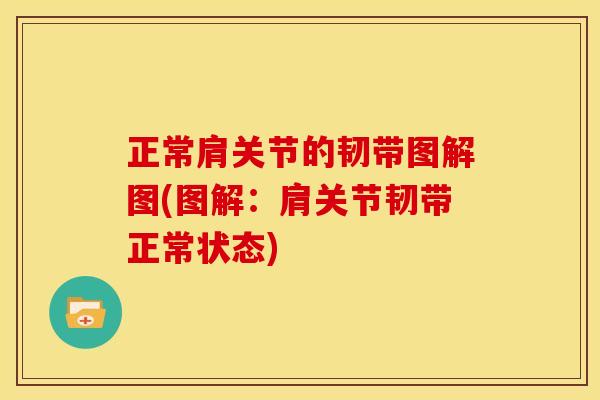 正常肩关节的韧带图解图(图解：肩关节韧带正常状态)