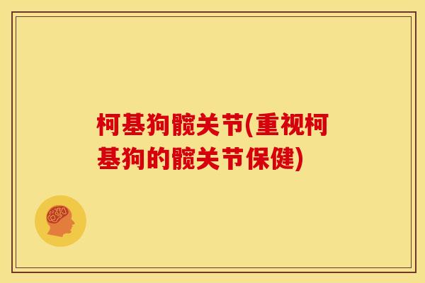 柯基狗髋关节(重视柯基狗的髋关节保健)