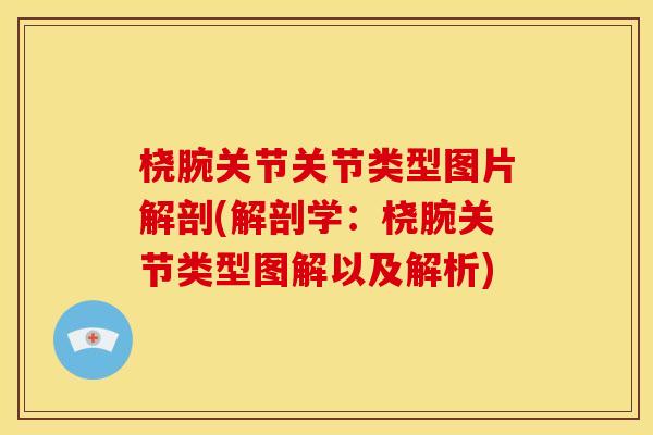 桡腕关节关节类型图片解剖(解剖学：桡腕关节类型图解以及解析)