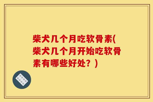 柴犬几个月吃软骨素(柴犬几个月开始吃软骨素有哪些好处？)