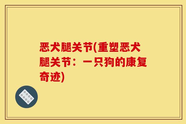 恶犬腿关节(重塑恶犬腿关节：一只狗的康复奇迹)