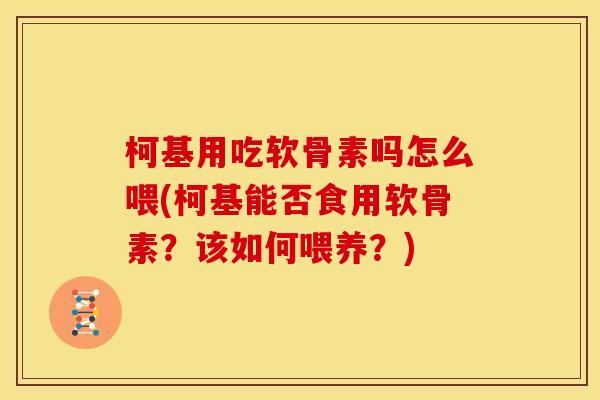 柯基用吃软骨素吗怎么喂(柯基能否食用软骨素？该如何喂养？)