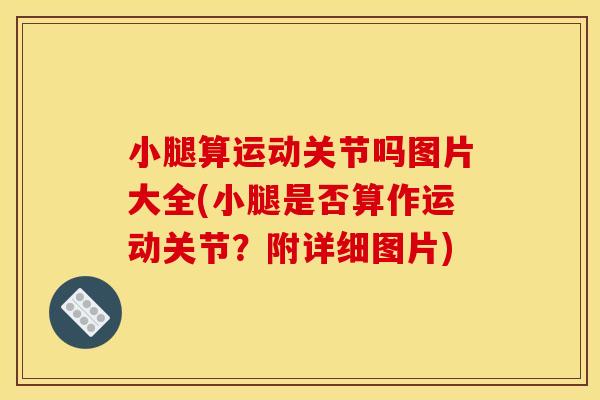 小腿算运动关节吗图片大全(小腿是否算作运动关节？附详细图片)