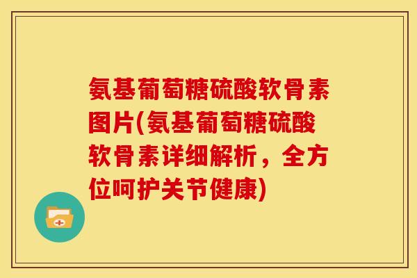 氨基葡萄糖硫酸软骨素图片(氨基葡萄糖硫酸软骨素详细解析,全方位呵护关节健康) 氨基葡萄糖硫酸软骨素图片(氨基葡萄糖硫酸软骨素详细解析,全方位呵护关节健康)