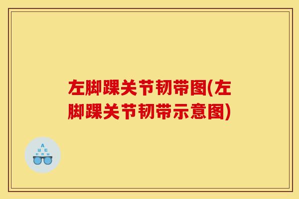 左脚踝关节韧带图(左脚踝关节韧带示意图)