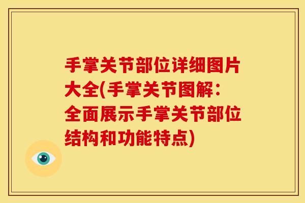 手掌关节部位详细图片大全(手掌关节图解：全面展示手掌关节部位结构和功能特点)