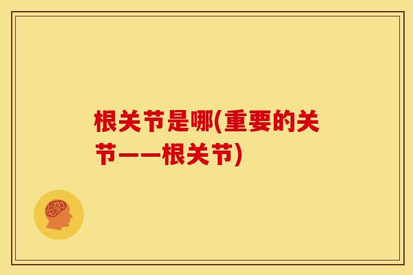 根关节是哪(重要的关节——根关节)
