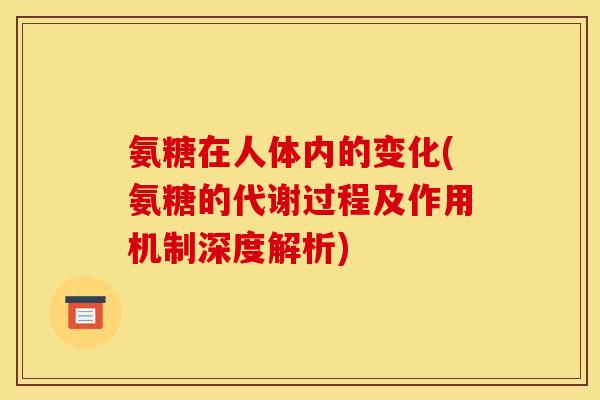 氨糖在人体内的变化(氨糖的代谢过程及作用机制深度解析)
