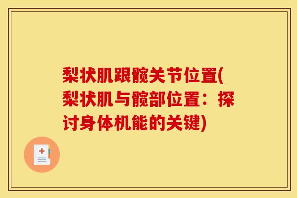 梨状肌跟髋关节位置(梨状肌与髋部位置：探讨身体机能的关键)