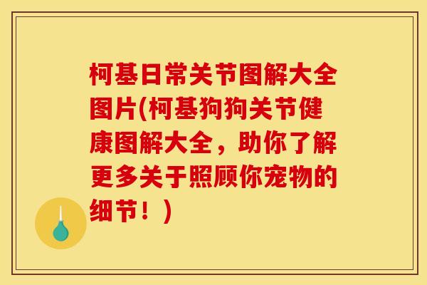 柯基日常关节图解大全图片(柯基狗狗关节健康图解大全，助你了解更多关于照顾你宠物的细节！)