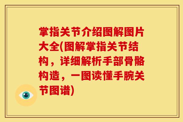 掌指关节介绍图解图片大全(图解掌指关节结构，详细解析手部骨骼构造，一图读懂手腕关节图谱)