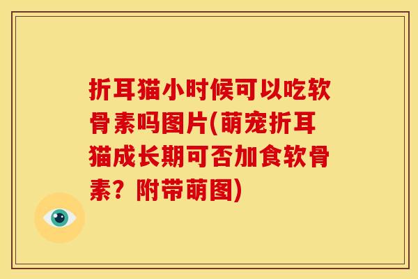 折耳猫小时候可以吃软骨素吗图片(萌宠折耳猫成长期可否加食软骨素？附带萌图)