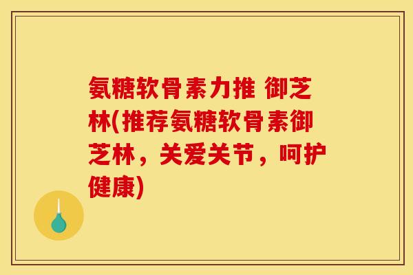 氨糖软骨素力推 御芝林(推荐氨糖软骨素御芝林，关爱关节，呵护健康)