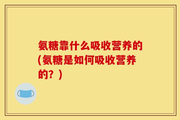 氨糖靠什么吸收营养的(氨糖是如何吸收营养的？)