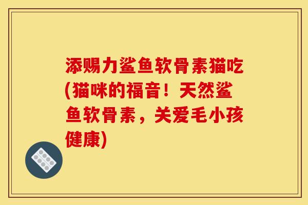 添赐力鲨鱼软骨素猫吃(猫咪的福音！天然鲨鱼软骨素，关爱毛小孩健康)